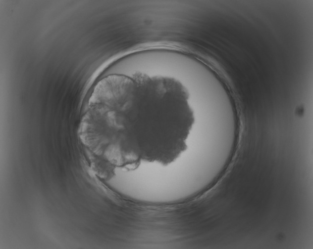 X0000115701228200912241516