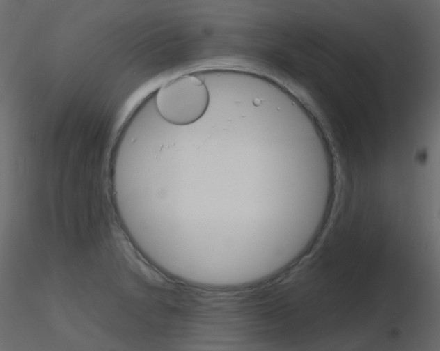 X0000115701230200912241516