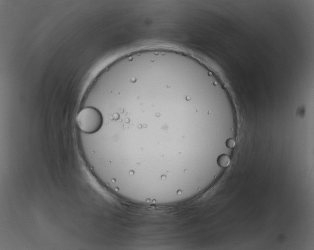 X0000115701231200912241516