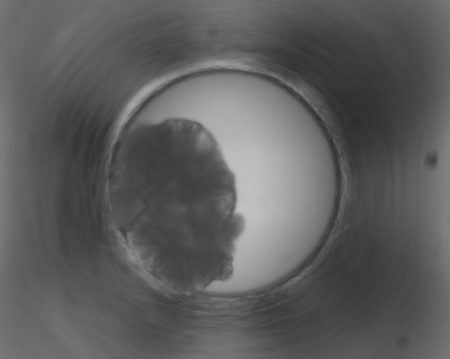 X0000115701232200912241516