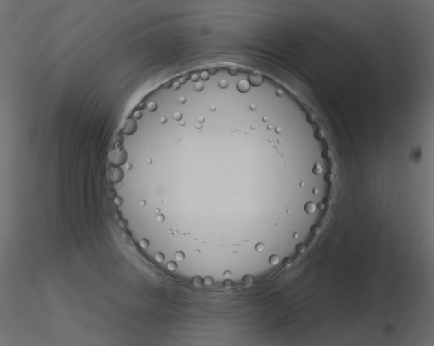 X0000115701234200912241516