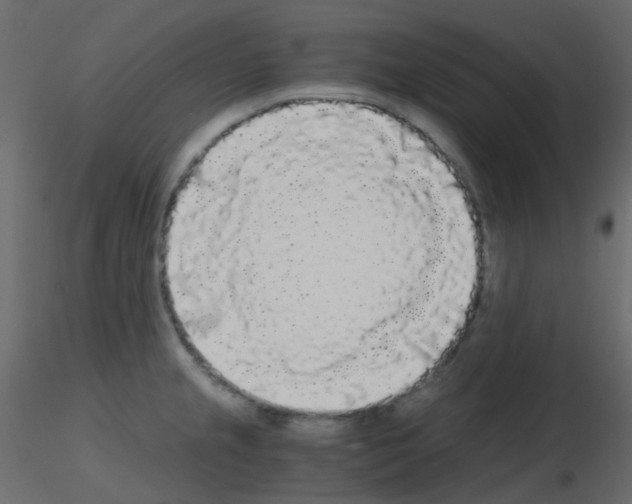 X0000115701237200912241516