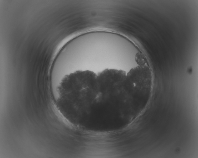 X0000115701238200912241516