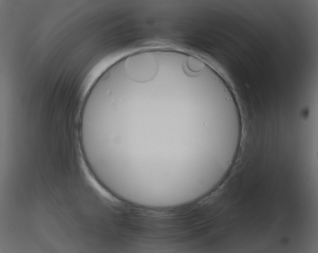 X0000115701239200912241516