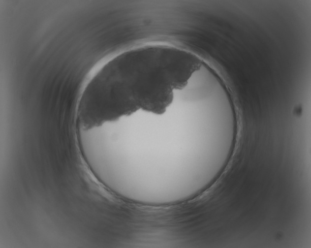 X0000115701240200912241516