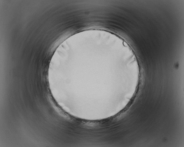 X0000115701241200912241516