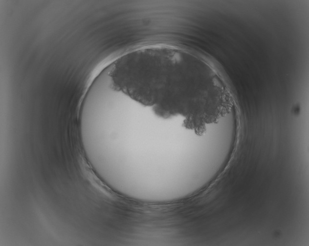 X0000115701242200912241516