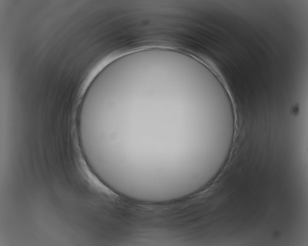 X0000115701243200912241516