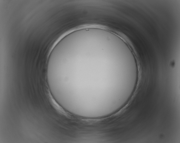 X0000115701244200912241516