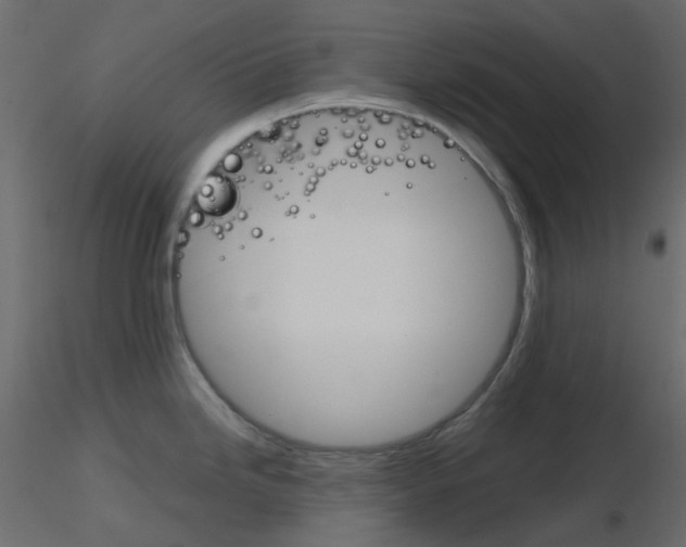 X0000115701246200912241516