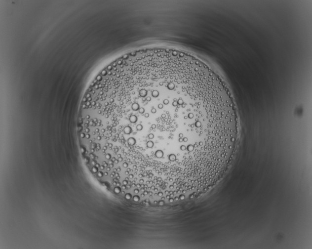 X0000115701247200912241516