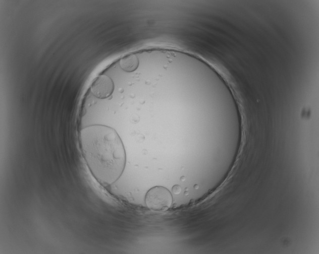 X0000115701248200912241516