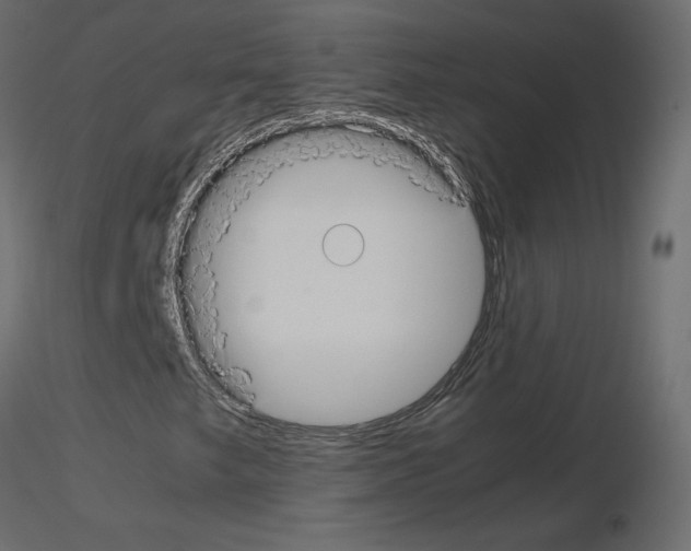 X0000115701249200912241515