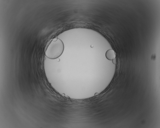 X0000115701250200912241515