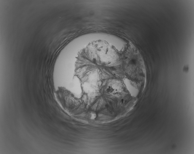 X0000115701251200912241515