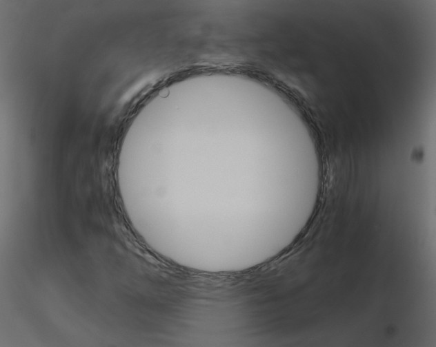 X0000115701254200912241515