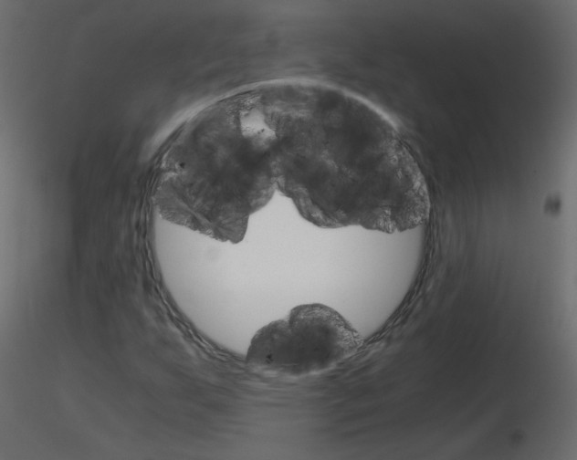 X0000115701255200912241515