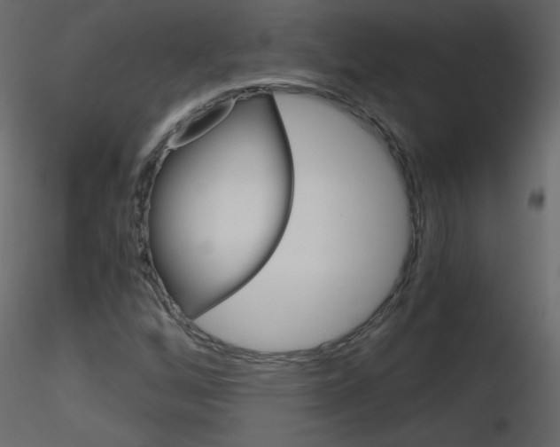 X0000115701256200912241515