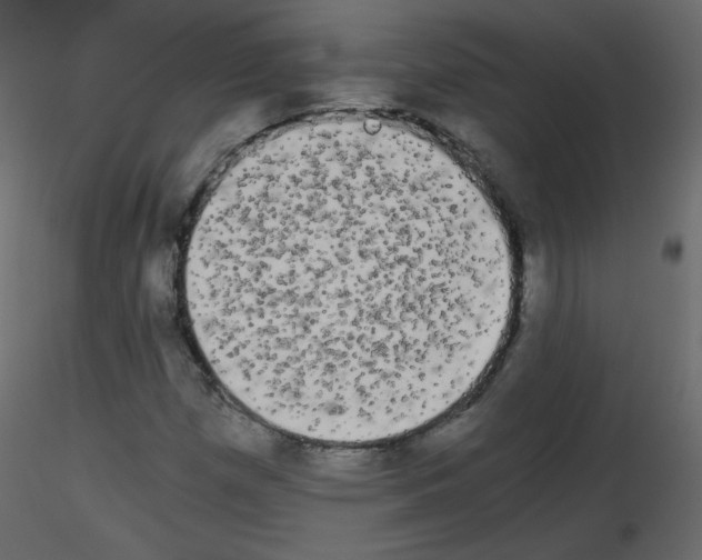 X0000115701257200912241515