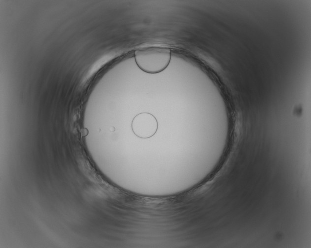 X0000115701258200912241515