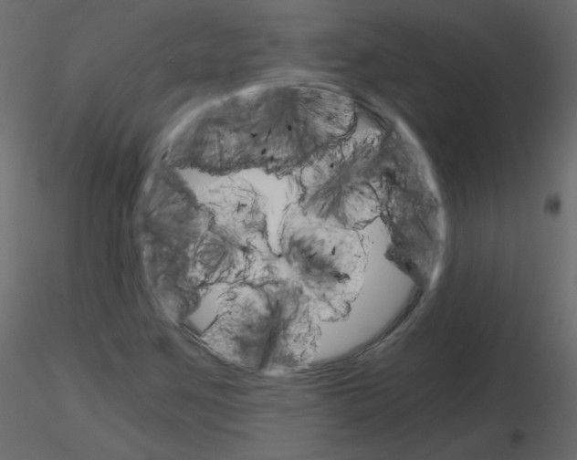 X0000115701259200912241515