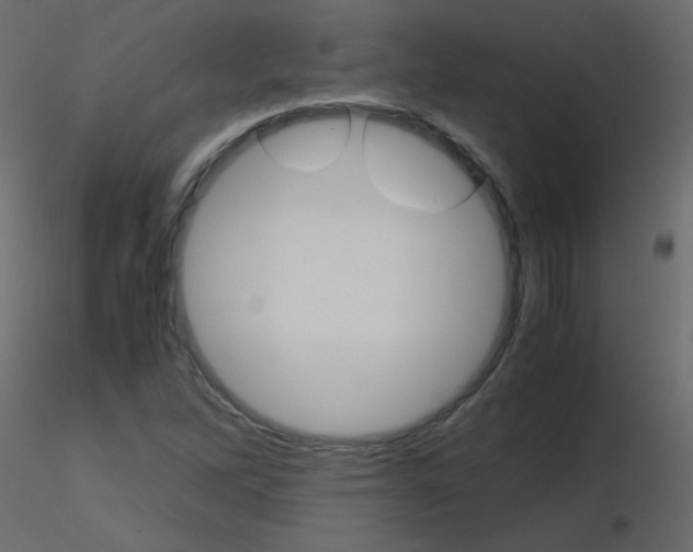 X0000115701262200912241515