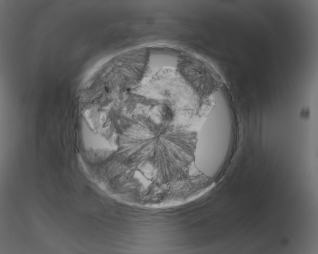 X0000115701263200912241515