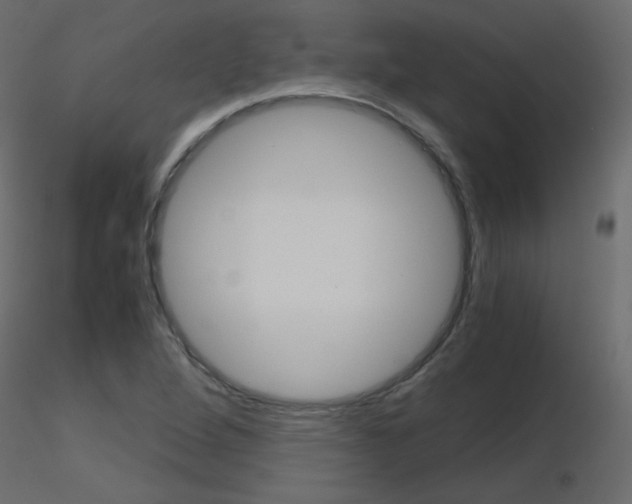 X0000115701264200912241515