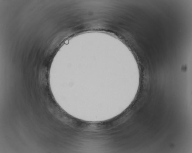 X0000115701265200912241515