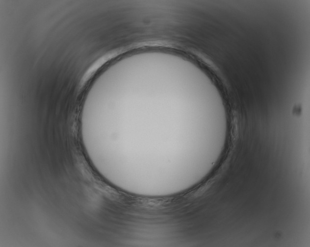 X0000115701266200912241515