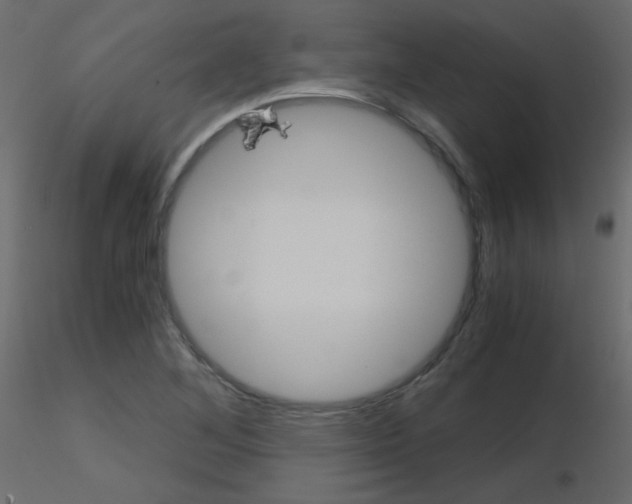 X0000115701268200912241515