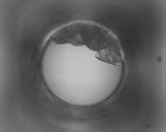 X0000115701271200912241515