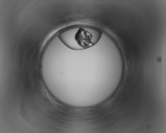 X0000115701272200912241515