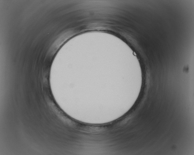 X0000115701273200912241515