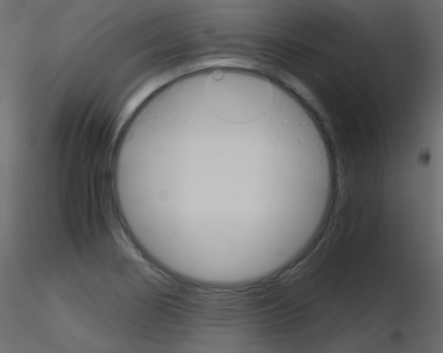 X0000115701274200912241515