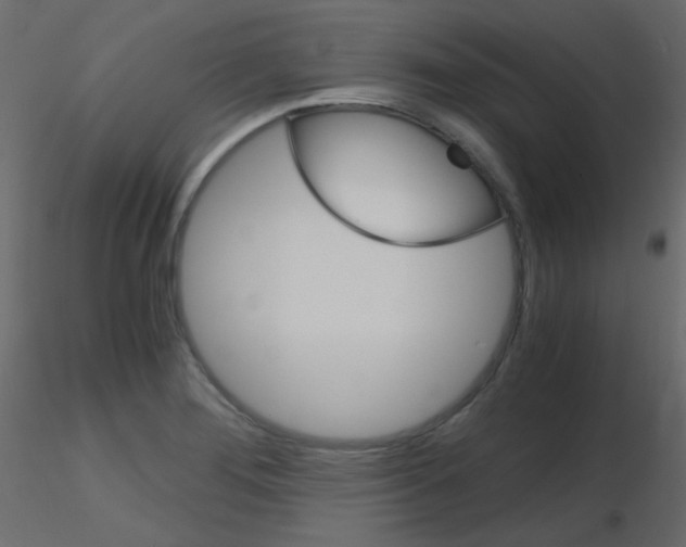 X0000115701276200912241515