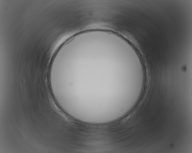 X0000115701277200912241515