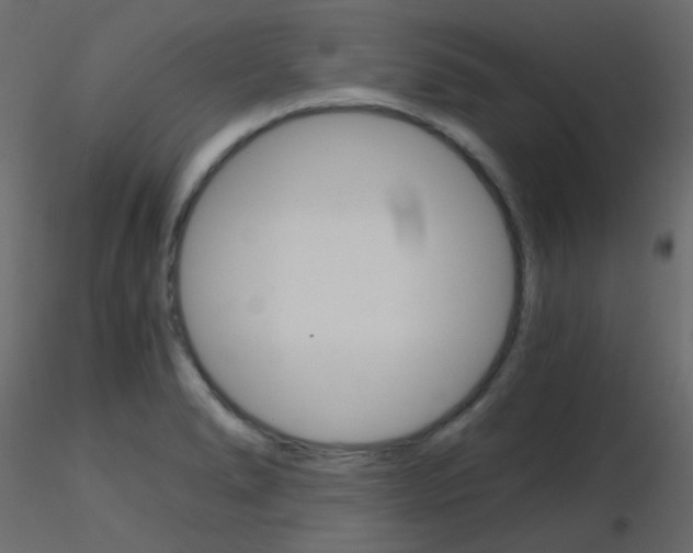 X0000115701278200912241515