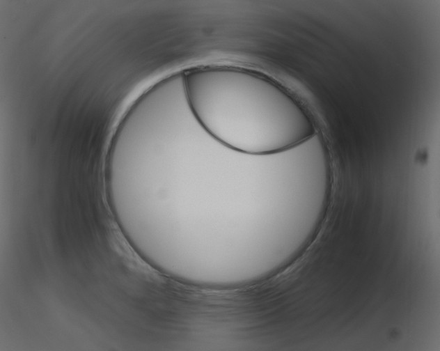 X0000115701280200912241515