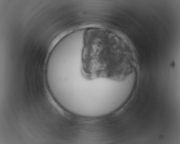 X0000115701282200912241515