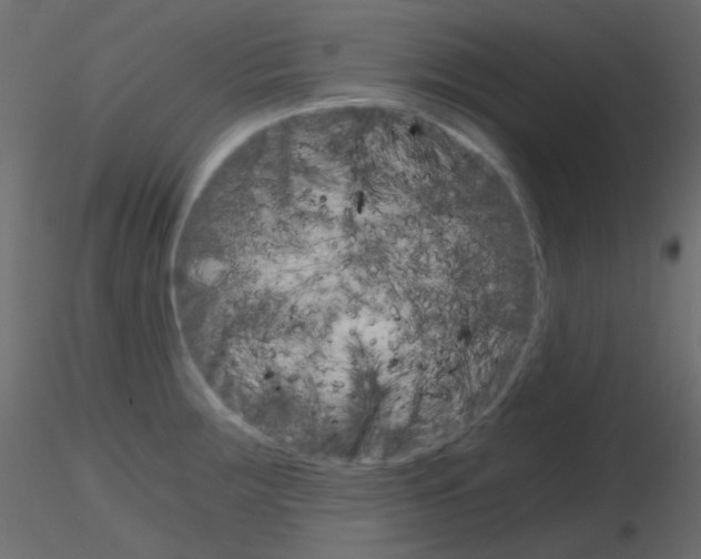 X0000115701283200912241515