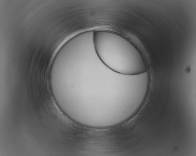 X0000115701284200912241515