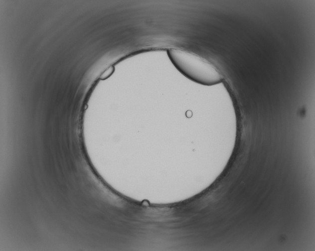 X0000115701285200912241515