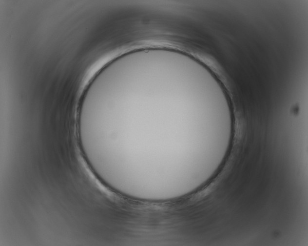 X0000115701286200912241515