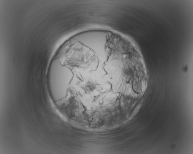 X0000115701287200912241515