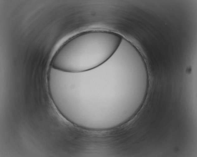 X0000115701288200912241515