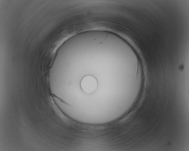 X0000115701289200912241515