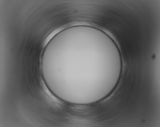 X0000115701290200912241515