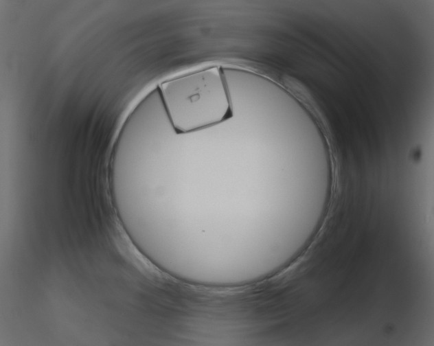 X0000115701292200912241515