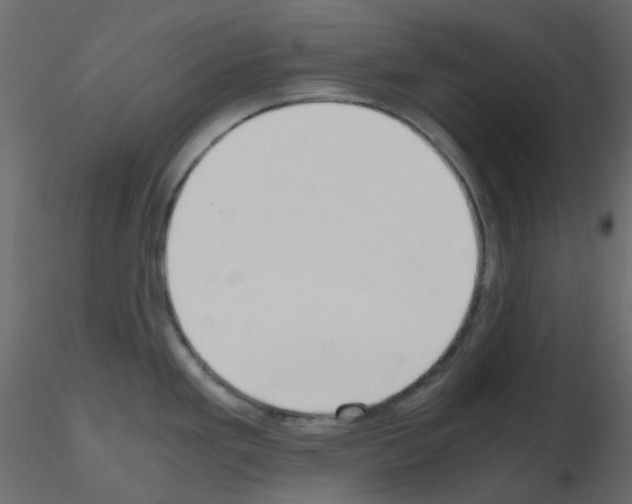 X0000115701293200912241515